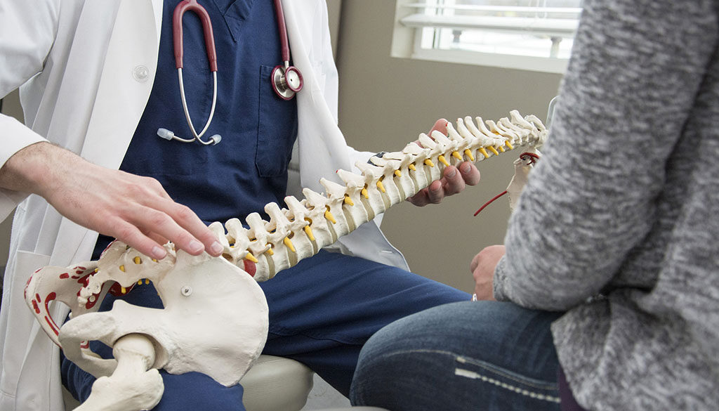 A Orthopedic Doctor Showing an Anatomical Figure of a Spine to a Patient Orthopedic Doctors Taking New Patients